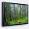 Designart - Hoh Rain Forest - Landscape Photography Framed Canvas Art Print